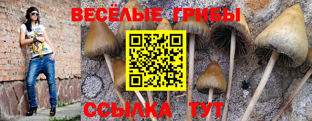 Псилоцибиновые грибы прущие грибы  Вход с VPN  Осинники  Галлюциногенные грибы мухоморы 